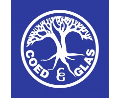 Coed Glas Primary (Auto)