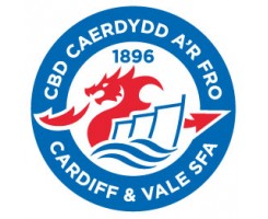 Cardiff & Vale Schools Football Association