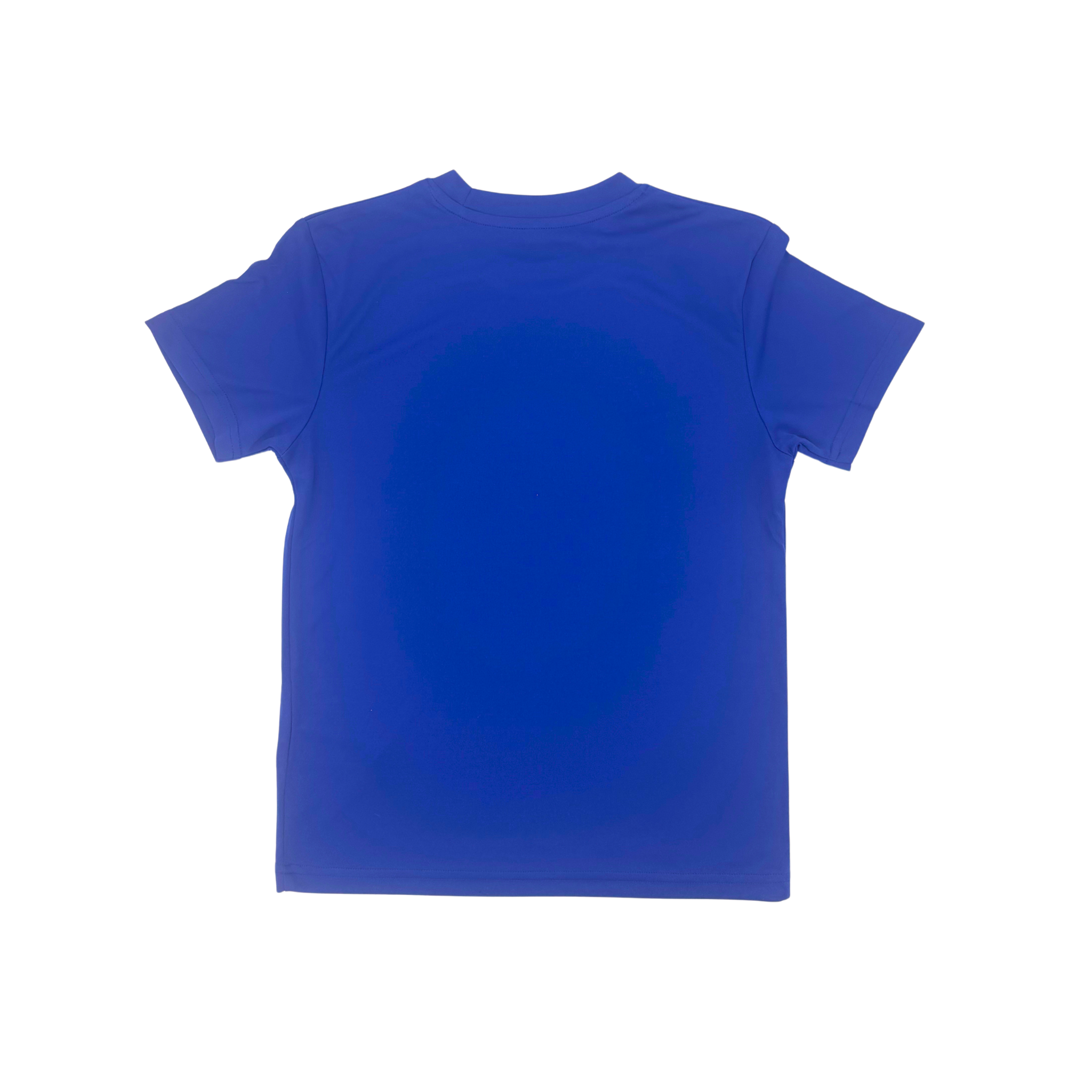 Trelai Primary School PE T-shirt 2024