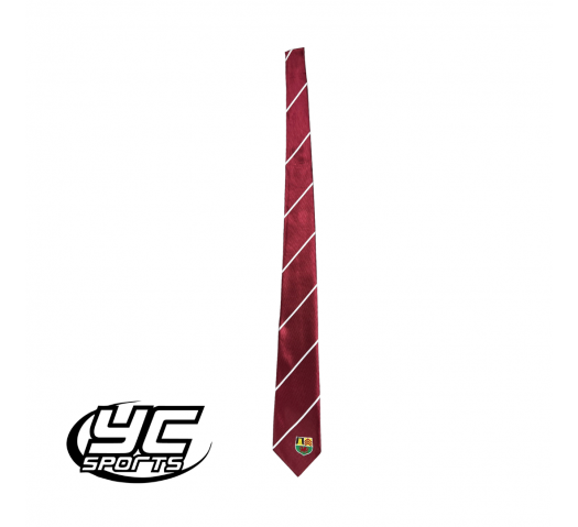 Fitzalan Tie 6th Form