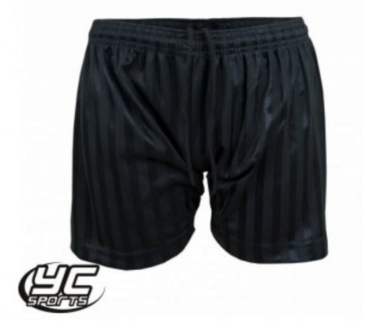 Rumney Primary School PE Shadow Stripe Shorts