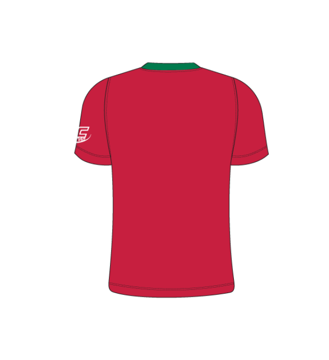 Badminton Wales Training Kit T010 Chevron Tshirt J