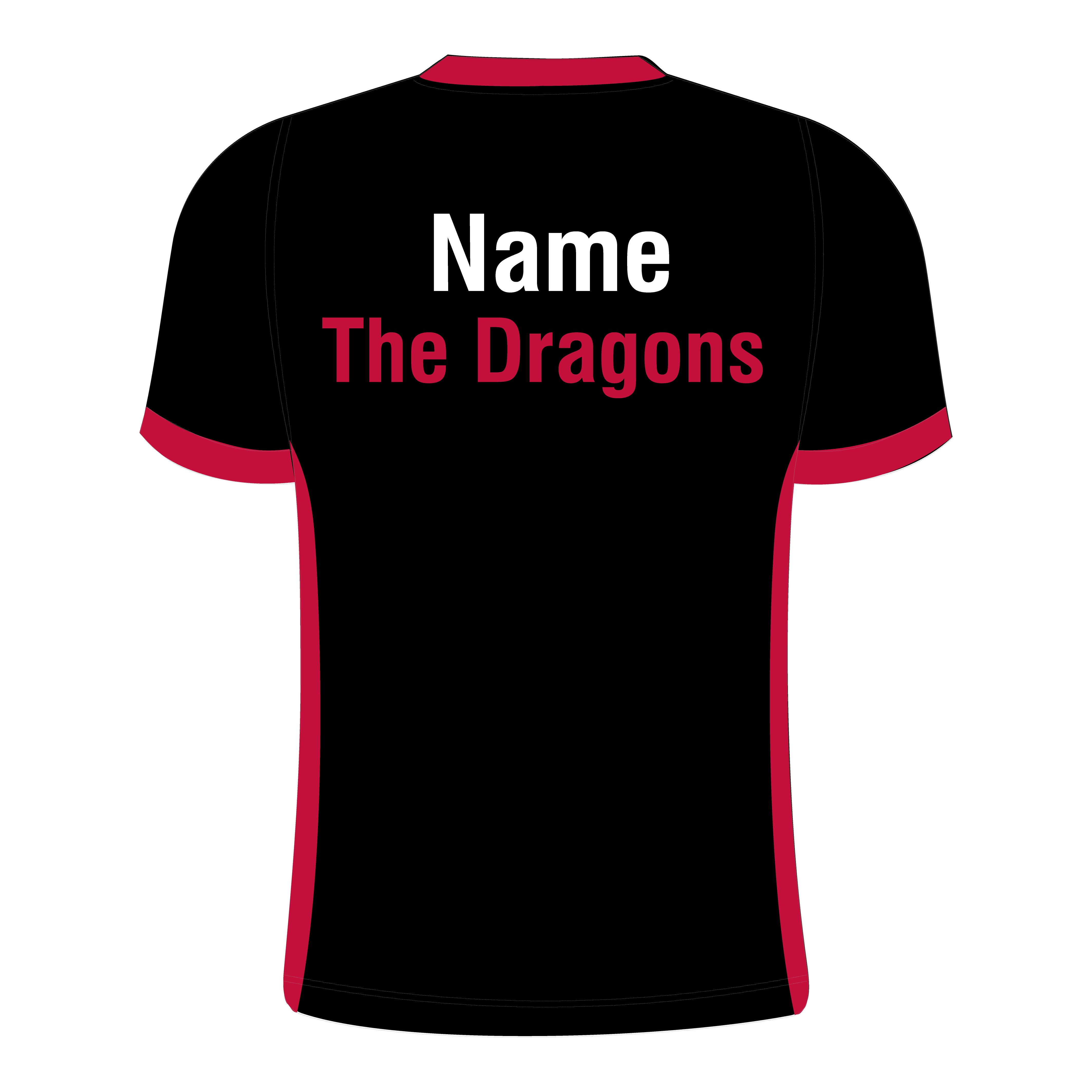 The Dragons T014 Dragon Swoosh V Neck Womens