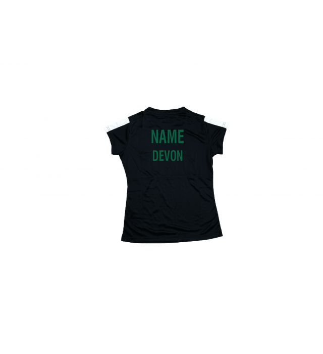 Devon County YTL 3 Ladies T-Shirt
