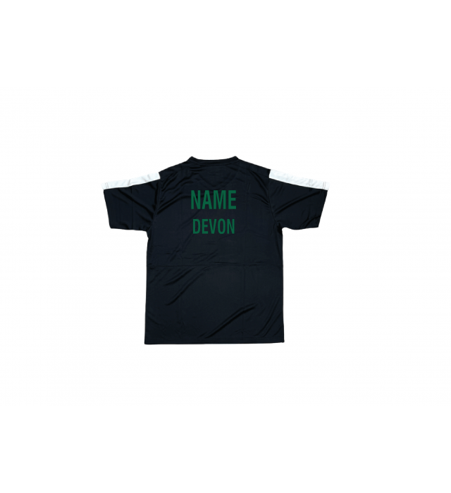 Devon County YTM3 Mens T-Shirt