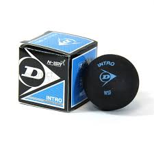 Dunlop Intro Squash Ball (Single)