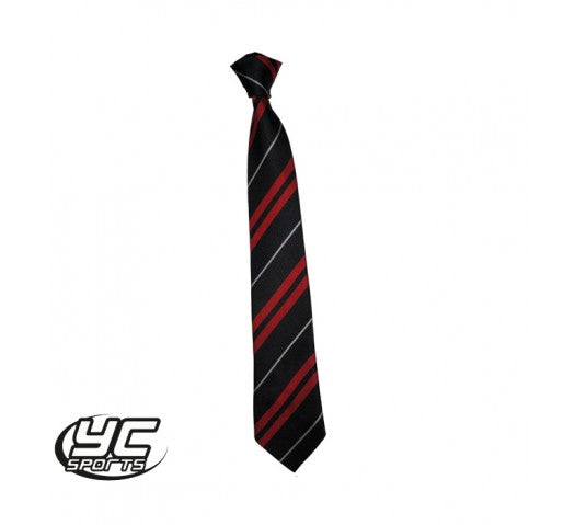 Cardiff High School Tie