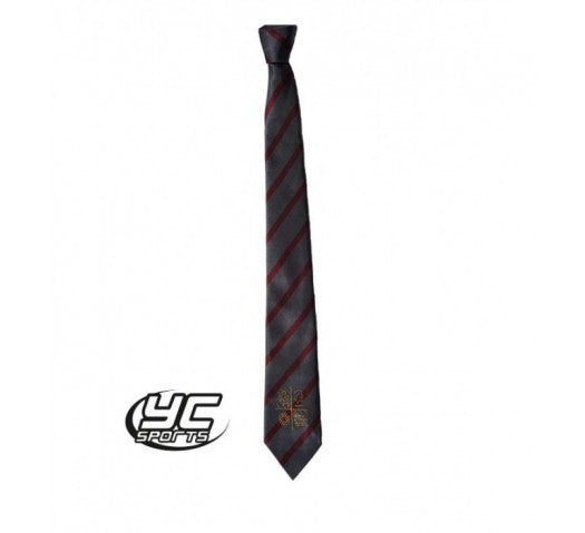 Cardiff West Community High School Tie Lower