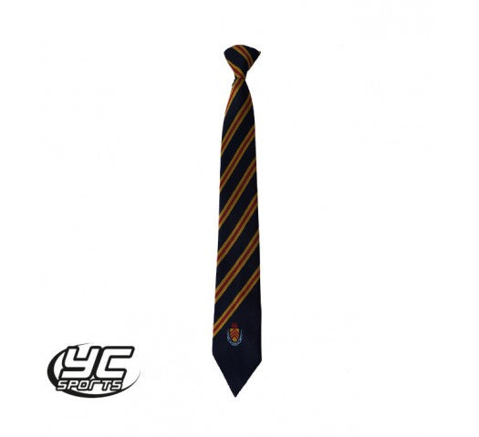 Cathays High School Tie