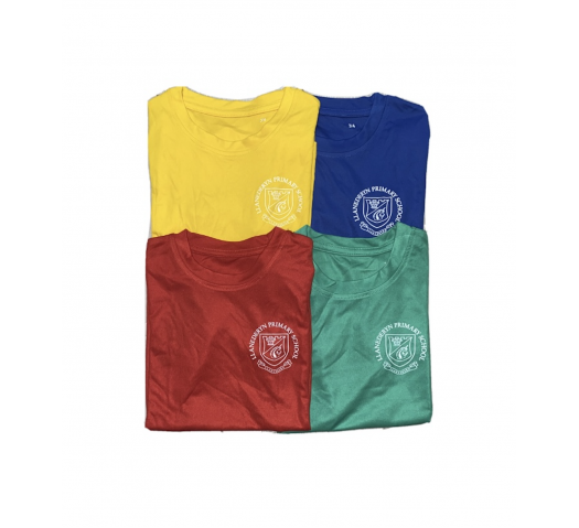 Llanedeyrn PE T Shirt (choose house colour)