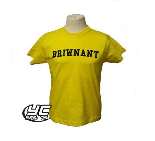 Rhiwbeina Primary School PE T Shirt Yellow