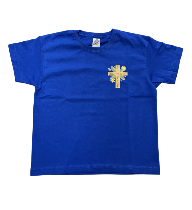 St Davids Primary School PE T Shirt