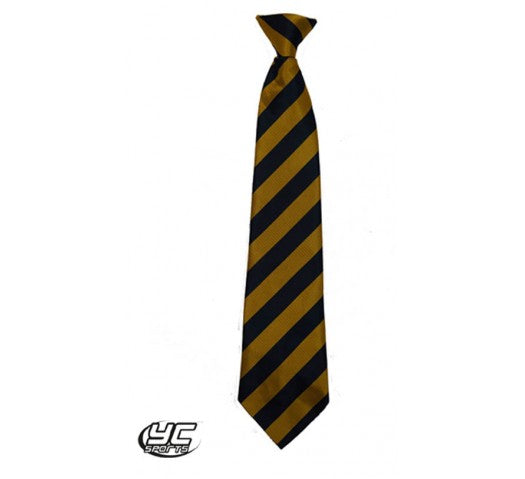 St Teilos CIW lower School Tie