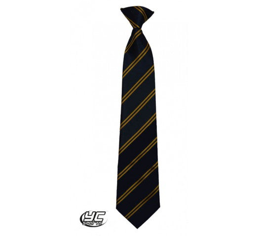 St Teilos CIW Upper School Tie